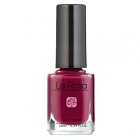 La Rosa Nail Polish No.106